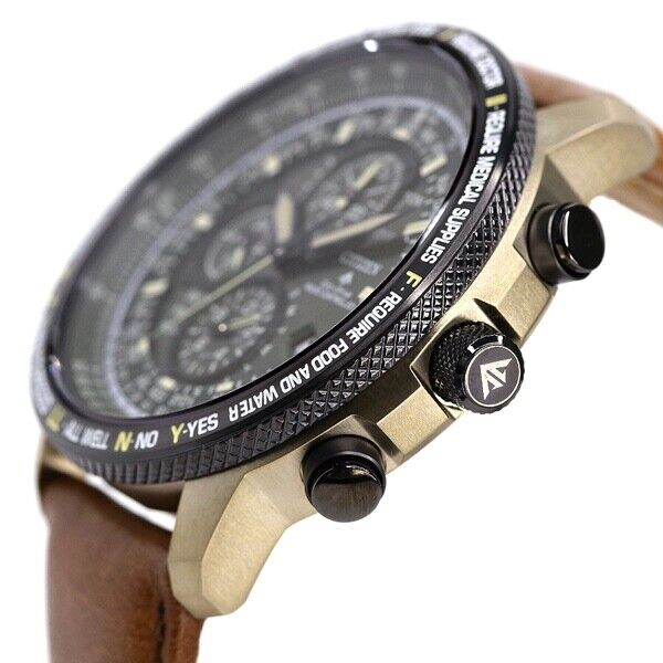 CITIZEN PROMASTER AT8194-11X Titanium Eco-Drive Solar Mens Watch New Japan