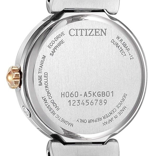 CITIZEN Exceed ES947467W Titanium Analog EcoDrive Solar Womens Watch New Japan